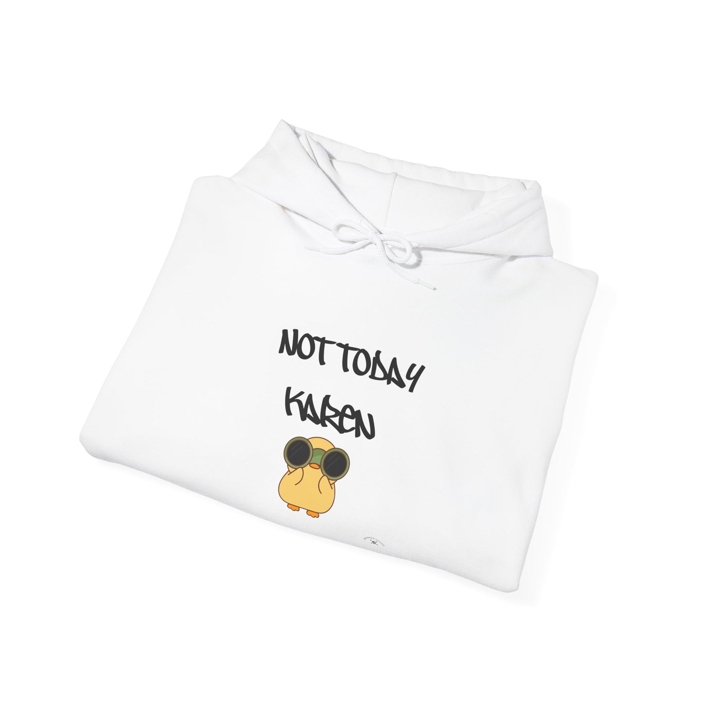 Funny Quote Hoodie, Not Today Karen Sweatshirt, Casual Gift, Trendy Streetwear, Relaxed Fit, Perfect for Daily Wear